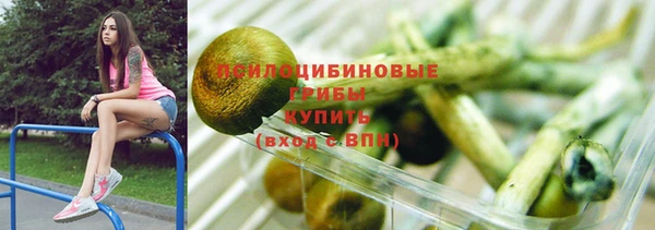 МДМА Бородино
