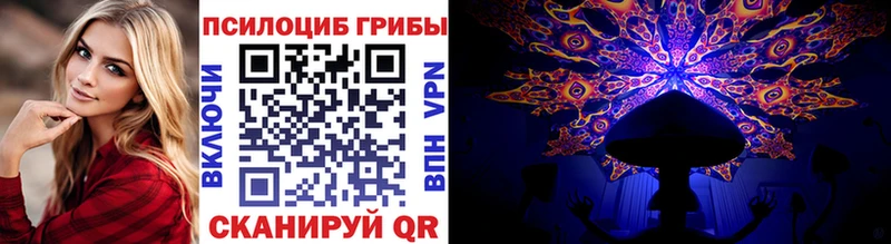 Псилоцибиновые грибы Cubensis  Купить  Тутаев 